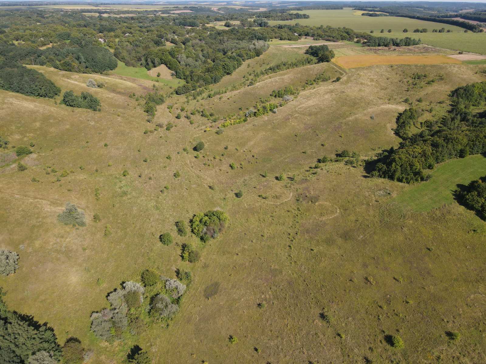 0 02 0a 3699662ad7ad835fc983477244c3c016a8af5356ae5eab023e1442fb91e2f586 4a89029c