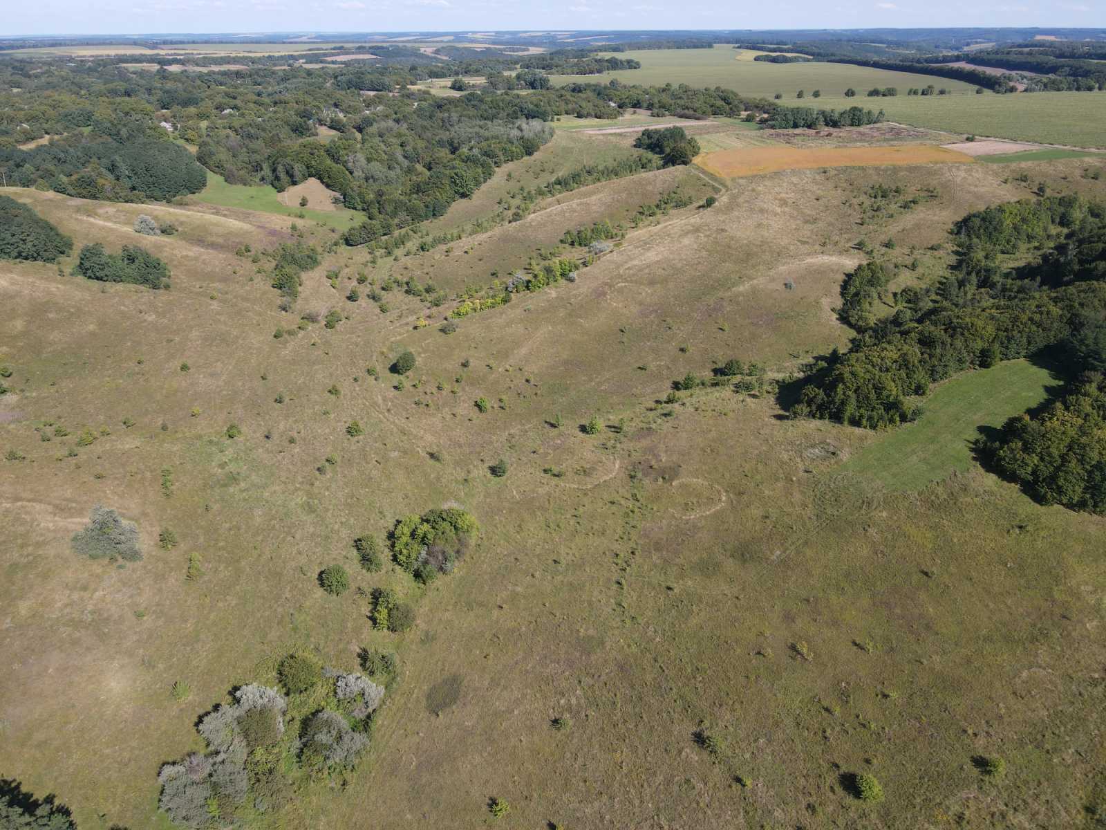 0 02 0a fe82fcc9849d5796c479aa746fac27778f096c29ce99e33cd7f2bb8e95fadd65 94246b7b