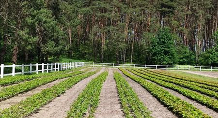 226512554 4330034277035035 7867346543047588303 n