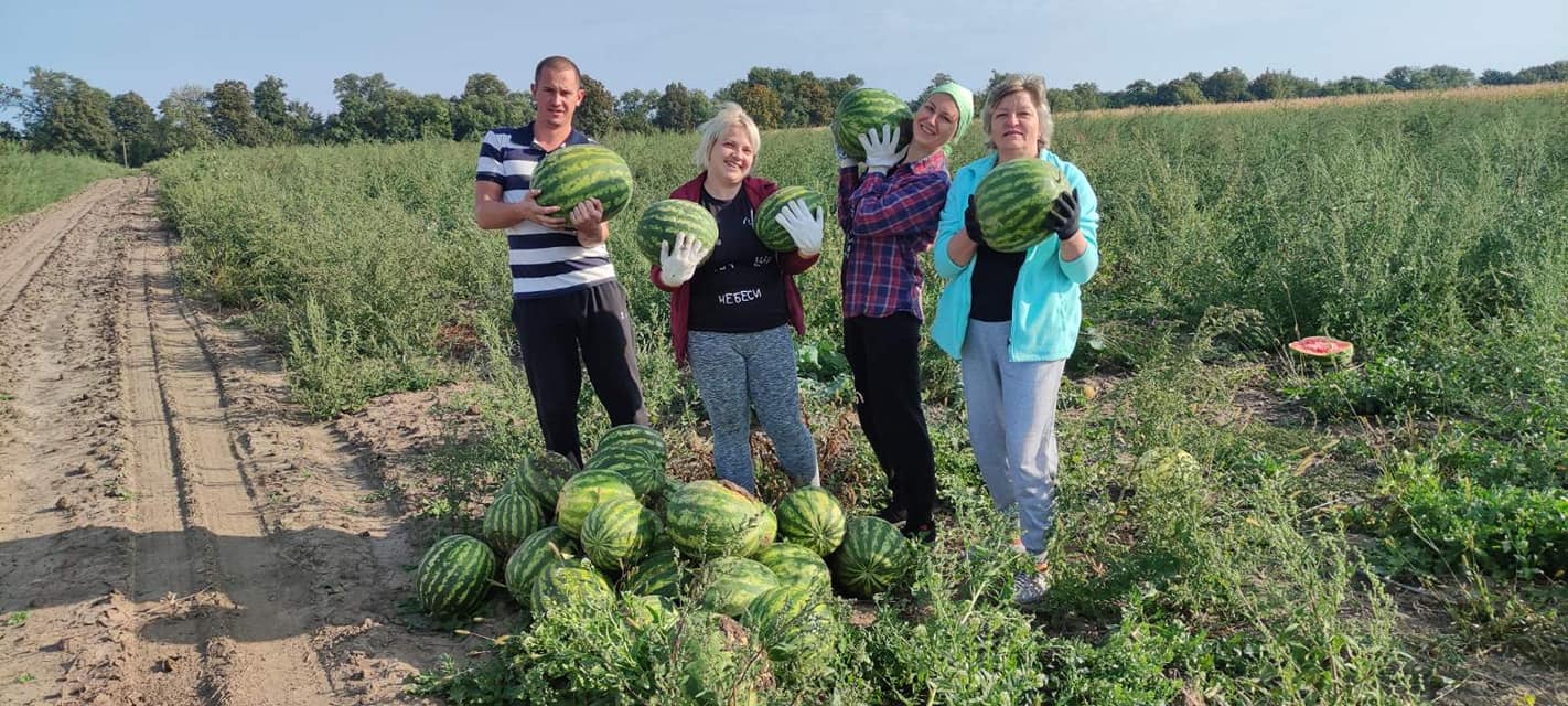 242432806 4274272256005051 3963681157849431596 n