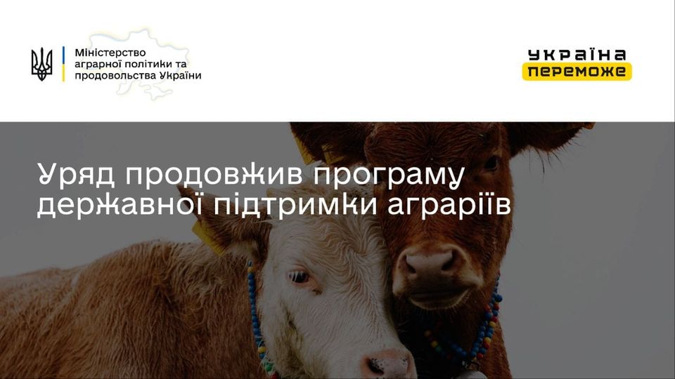 316661434 442877594694529 8790224951735918778 n