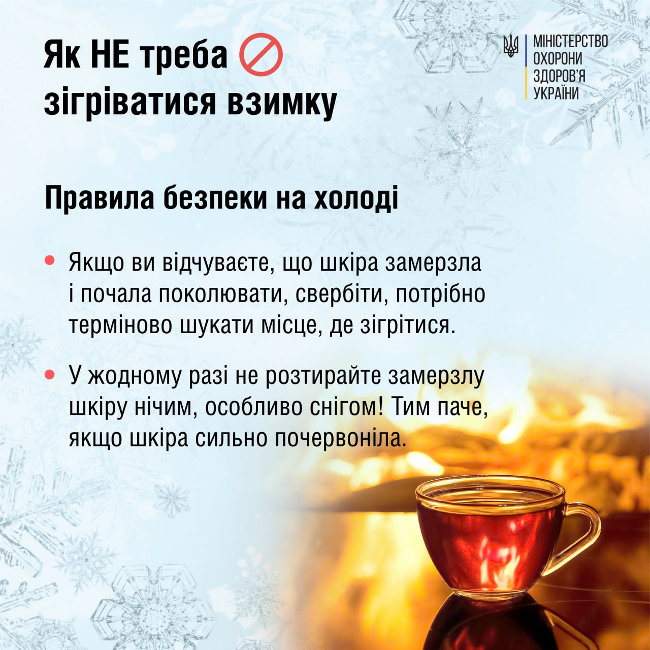 320896245 614723850653845 7712175510210413704 n