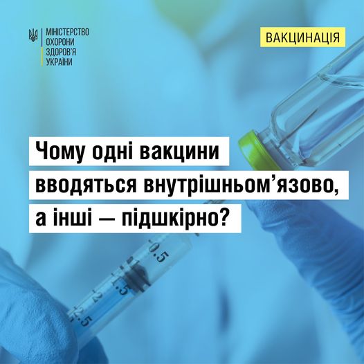 324015923 827195245021246 2409093074826011623 n