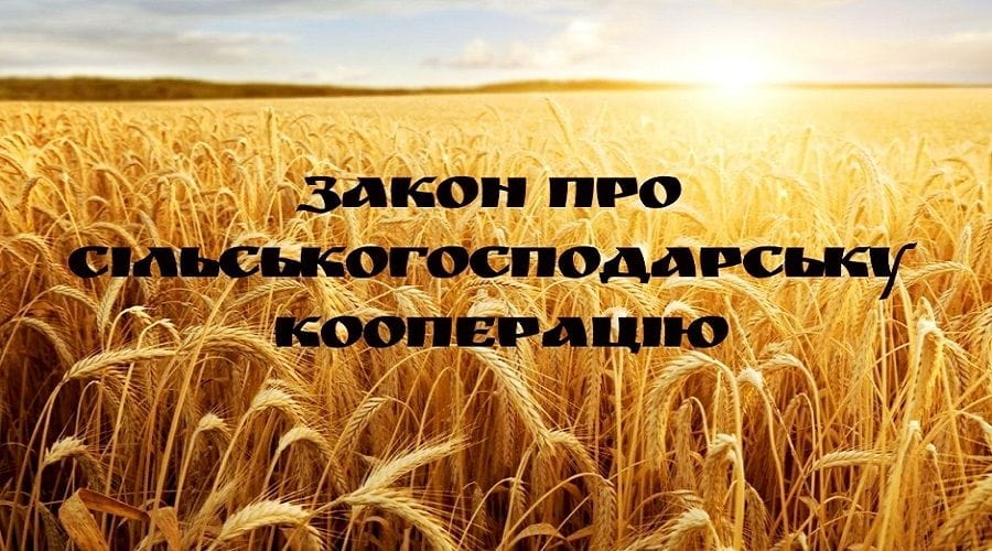 330985934 3789184661308996 5299956210378704674 n