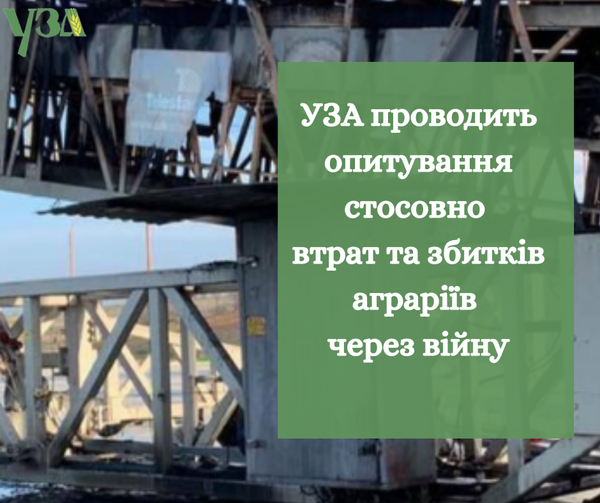 289939942 7508523992552195 3443595525679352946 n