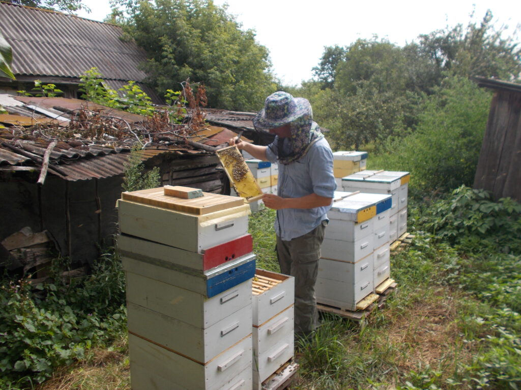 moloda simya z lysyanky stvoryuye vlasnu bdzholynu fermu 1024x768